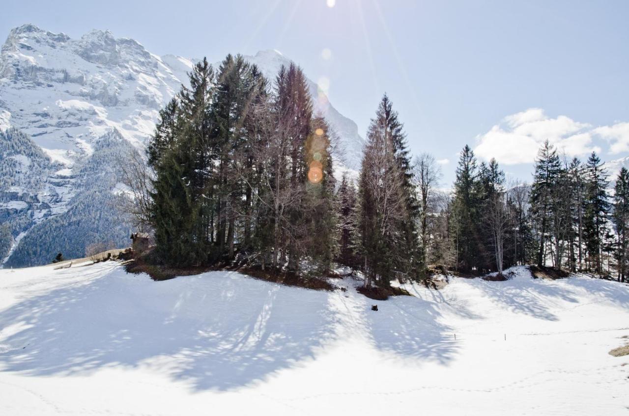 Apartment Grindelwaldgletscher - Griwa Rent Ag Buitenkant foto